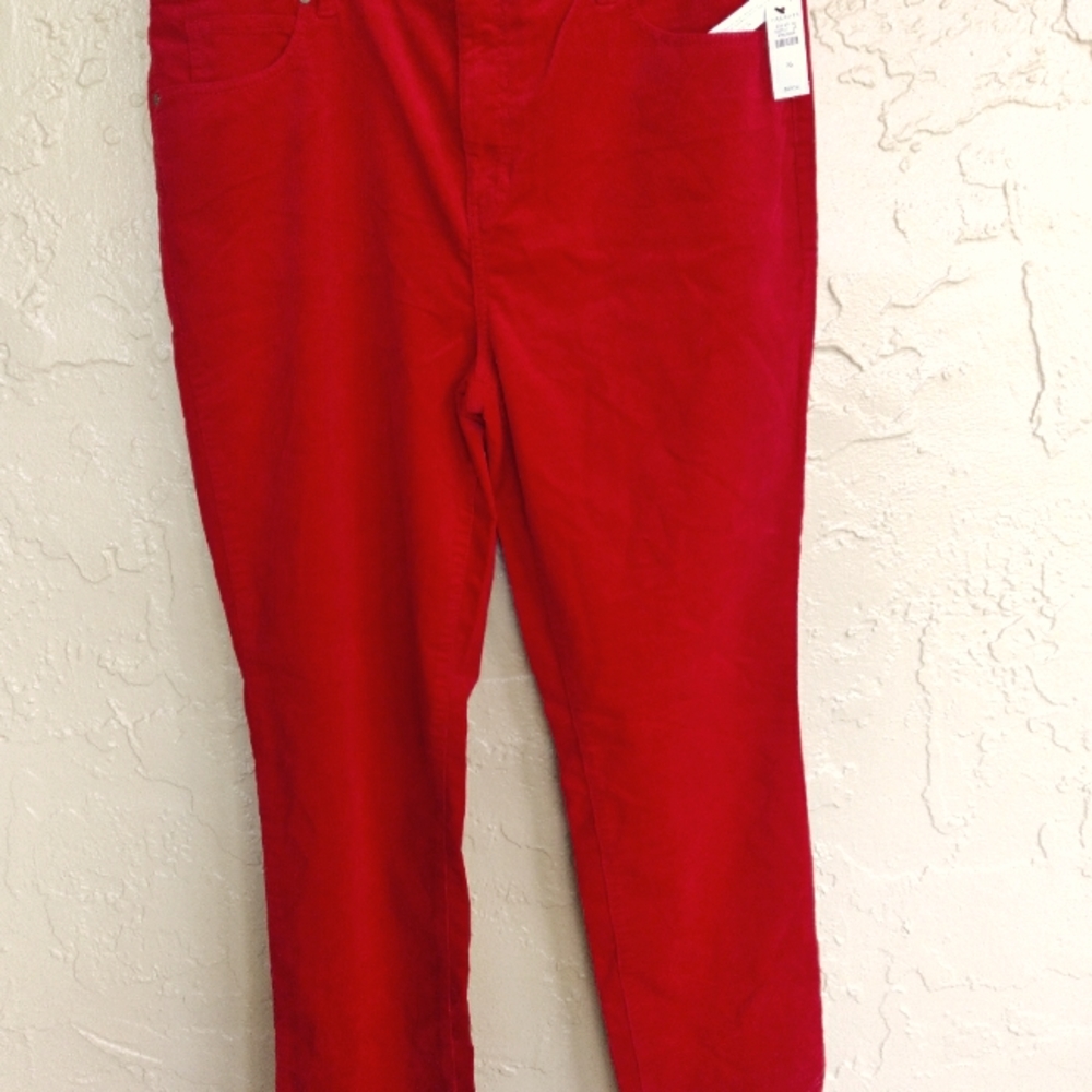 Red Velvety High Waist NWT Talbot Size 16